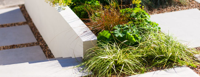 landscapedesign_7