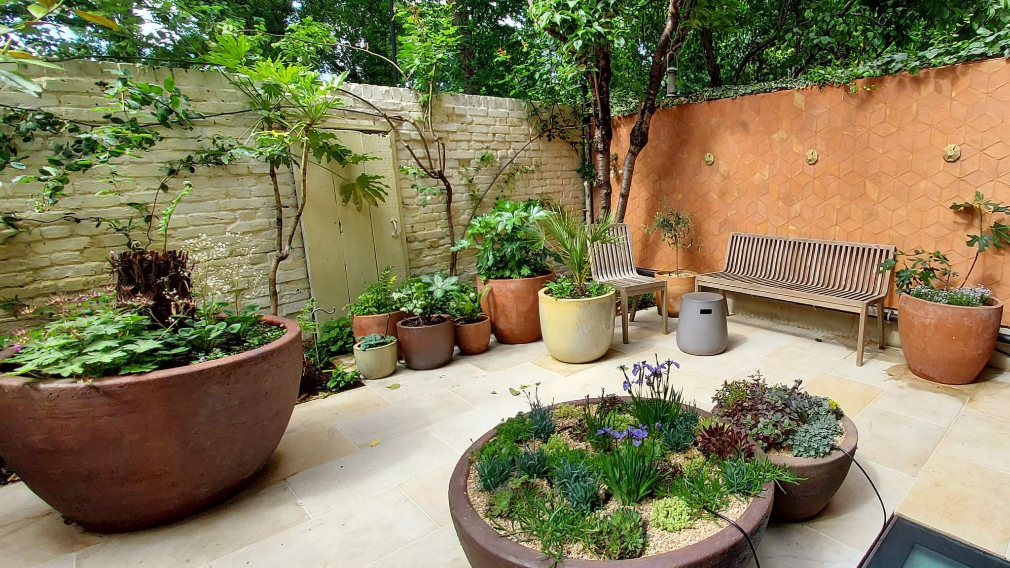 Harrow Front Garden (24)